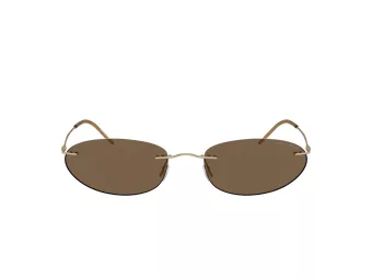 Giorgio Armani Solbriller AR 1508M 300273