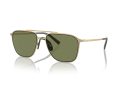 Giorgio Armani Solbriller AR 6110 30022A