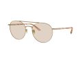 Giorgio Armani Solbriller AR 6156 3002M4