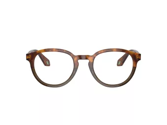 Giorgio Armani Briller AR 7248 5988