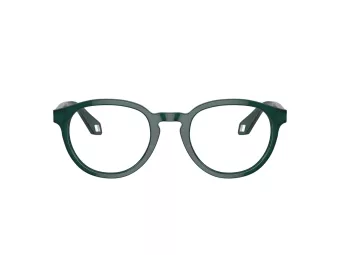 Giorgio Armani Briller AR 7248 6044
