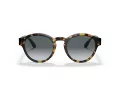 Giorgio Armani Solbriller AR 8146 587486