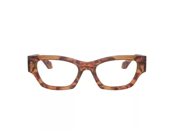 Giorgio Armani Solbriller AR 8185U 59781W
