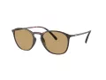 Giorgio Armani Solbriller AR 8186U 508973