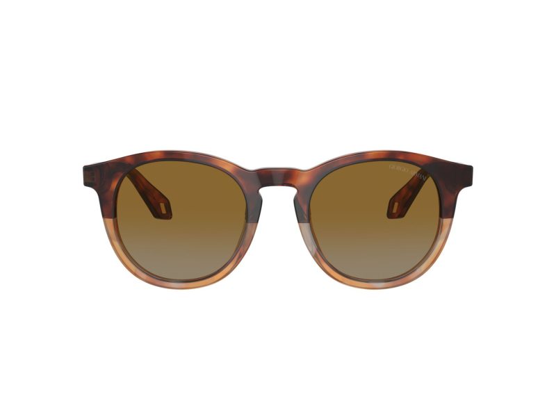 Giorgio Armani Solbriller AR 8192 6034B2