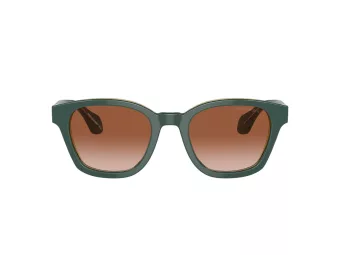 Giorgio Armani Solbriller AR 8207 608613