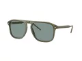 Giorgio Armani Solbriller AR 8212 607456