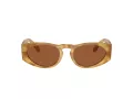 Giorgio Armani Solbriller AR 8216 597973