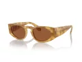 Giorgio Armani Solbriller AR 8216 597973
