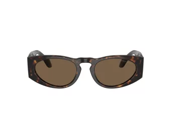 Giorgio Armani Solbriller AR 8216 612473