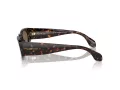 Giorgio Armani Solbriller AR 8216 612473