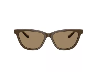 Giorgio Armani Solbriller AR 8221 595753