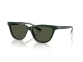 Giorgio Armani Solbriller AR 8221 617331