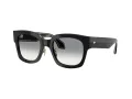 Giorgio Armani Solbriller AR 8223 500111