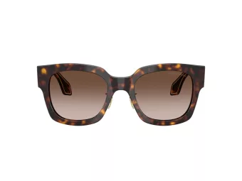 Giorgio Armani Solbriller AR 8223 502613