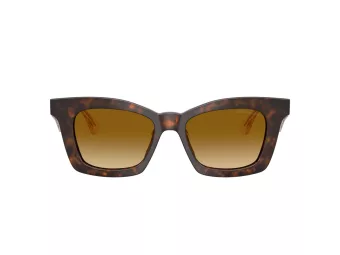 Giorgio Armani Solbriller AR 8235U 62312L