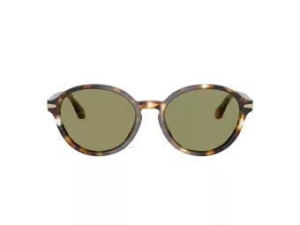 Giorgio Armani Solbriller AR 8237 623214