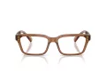 Armani Exchange Briller AX 3116 8358