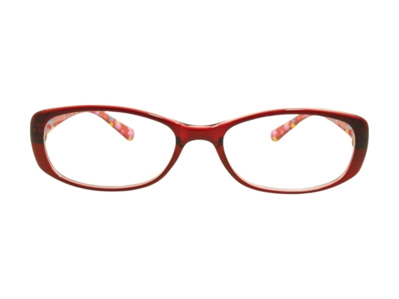 Berkeley Briller BB 5093 C4