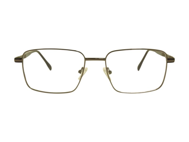Berkeley Briller BB 56071 C2