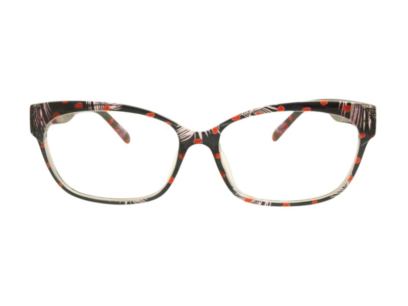 Berkeley Briller BB 5831 C1