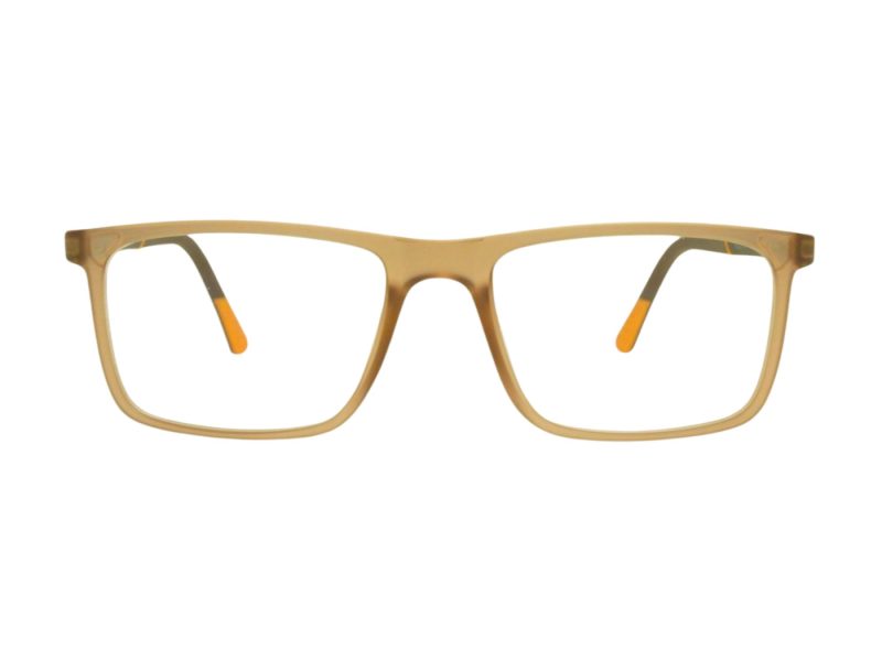 Berkeley Briller BB H6520 C2