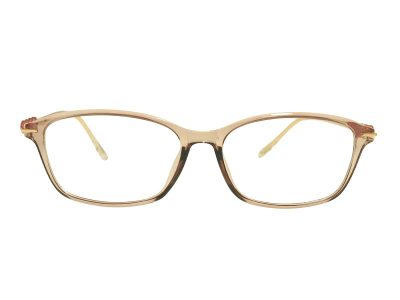 Berkeley Briller BB T5005 C4