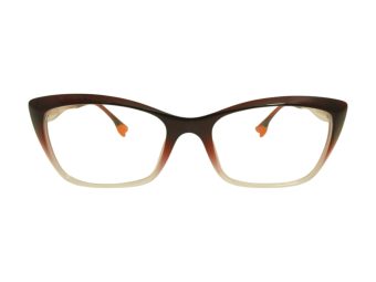 Berkeley Briller BB TR76013 C2