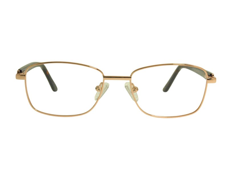 Berkeley Briller BB Y_MO42 C2