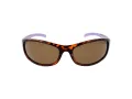 Champion Solbriller CUW 5207 C02