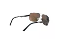 Champion Solbriller CU 5131 C01