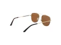 Champion Solbriller CU 5151 C01
