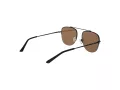 Champion Solbriller CU 5151 C03