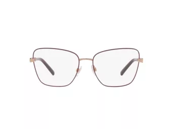 Dolce & Gabbana Briller DG 1346 1333