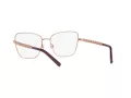 Dolce & Gabbana Briller DG 1346 1333
