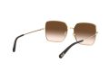 Dolce & Gabbana Solbriller DG 2242 02/13