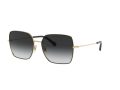 Dolce & Gabbana Solbriller DG 2242 1334/8G