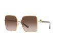 Dolce & Gabbana Solbriller DG 2279 02/13