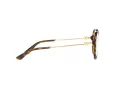 Dolce & Gabbana Briller DG 3364 502