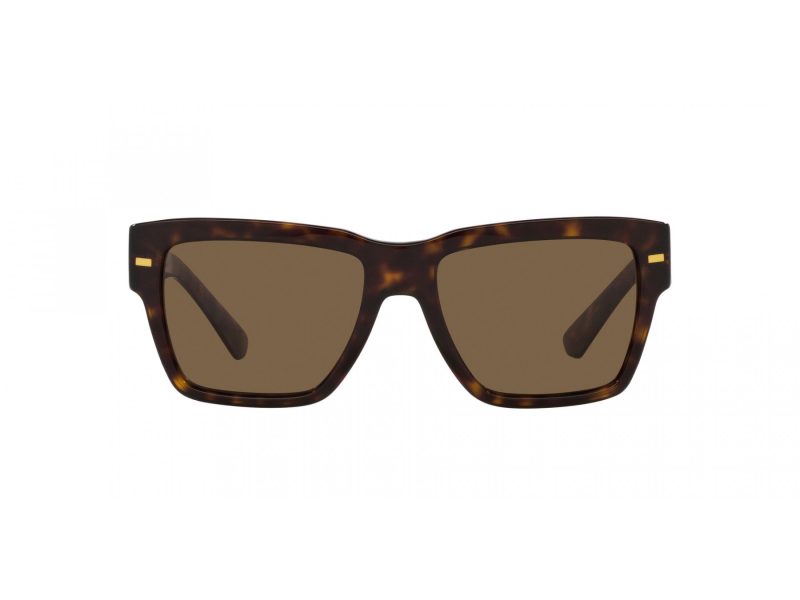 Dolce & Gabbana Solbriller DG 4431 502/73