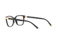 Dolce & Gabbana Briller DG 5036 501