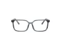 Dolce & Gabbana Kids Briller DX 3003 3482