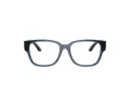 Dolce & Gabbana Kids Briller DX 5006 3009