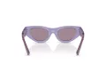 Dolce & Gabbana Kids Solbriller DX 6012 33601T