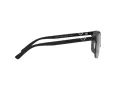 Emporio Armani Solbriller EA 2134 300187