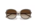Emporio Armani Solbriller EA 2146 336113