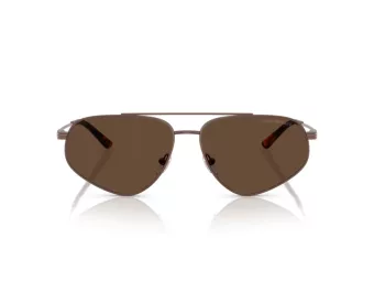 Emporio Armani Solbriller EA 2156 300673