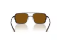 Emporio Armani Solbriller EA 2162 300163
