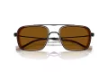 Emporio Armani Solbriller EA 2162 300163