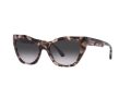 Emporio Armani Solbriller EA 4176 54108G